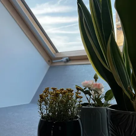 Westend - Above The * Budapest